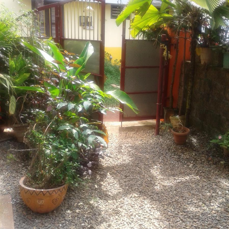 Baby House Hotel Varkala Exterior photo